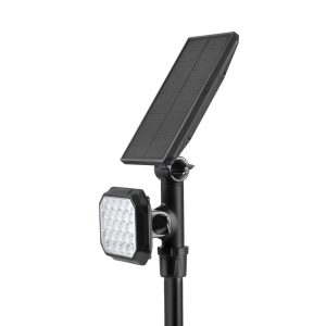 Emery leopard spotlights